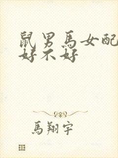 鼠男马女配婚姻好不好