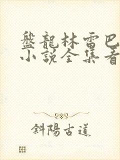 盘龙林雷巴鲁克小说全集看封面