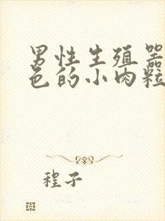 男性生殖器有白色的小肉粒封面