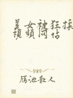 美女被狂揉大胸视频网站