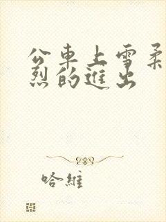 公车上雪柔被猛烈的进出