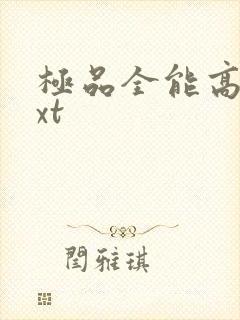 极品全能高手txt