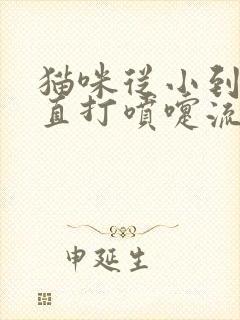 猫咪从小到大一直打喷嚏流鼻涕