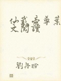 仙武帝尊叶辰全文阅读