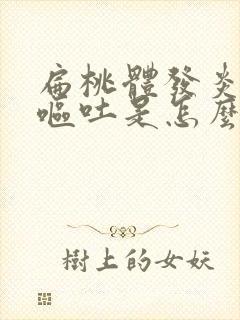 扁桃体发炎高烧呕吐是怎么回事