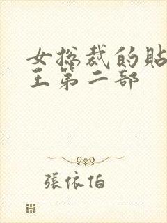 女总裁的贴身战王第二部封面