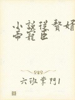 小说从赘婿到女帝宠臣