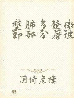 双肺多发微小结节部分磨玻璃封面