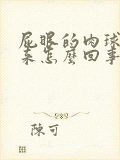 屁眼的肉球掉出来怎么回事