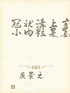 冠状沟上有很多小肉粒是怎么回事