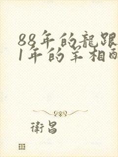 88年的龙跟91年的羊相配吗封面