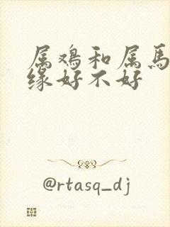 属鸡和属马的姻缘好不好