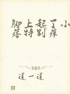 脚上起了小红疙瘩特别痒