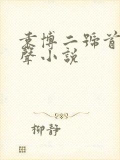 袁博二号首长有声小说封面