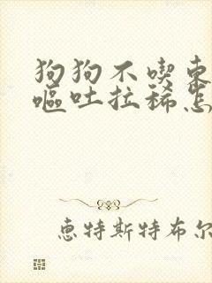 狗狗不吃东西还呕吐拉稀怎么办