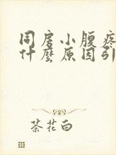 同房小腹疼痛是什么原因引起的