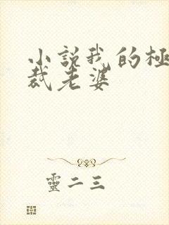 小说我的极品总裁老婆