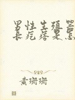 男性生殖器根部长疙瘩是怎么回事封面