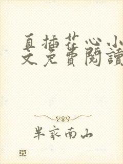 直插花心小说全文免费阅读最新章节封面