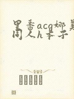 里番acg娜美同人h本子封面
