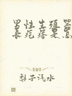 男性生殖器根部长疙瘩是怎么回事