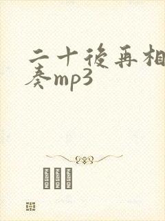 二十后再相会伴奏mp3