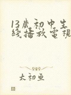 13岁初中生在线播放电视剧