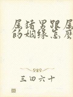 属猪男跟属蛇女的姻缘怎么样