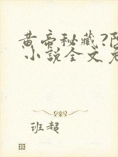 黄帝秘藏?陈启 小说全文免费阅读封面