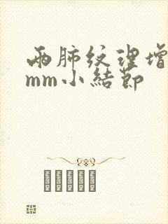 两肺纹理增多4mm小结节