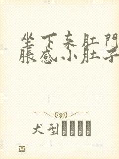 坐下来肛门有坠胀感小肚子疼