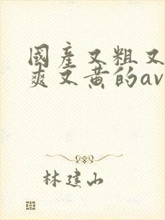 国产又粗又猛又爽又黄的av封面