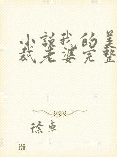 小说我的美女总裁老婆完整版