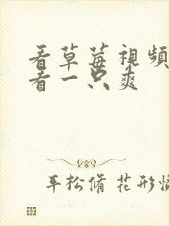 看草莓视频一只看一只爽