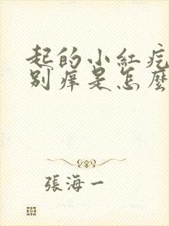 起的小红疙瘩特别痒是怎么回事封面