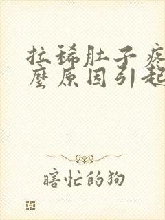 拉稀肚子疼是什么原因引起的封面