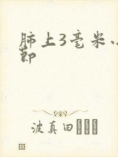 肺上3毫米小结节