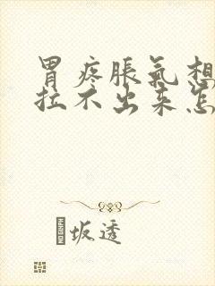 胃疼胀气想大便拉不出来怎么办