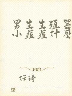 男生生殖器官长小痘痘什么原因