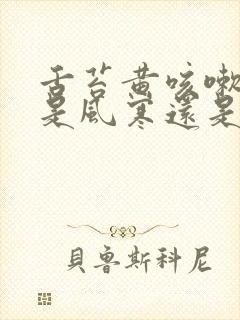 舌苔黄咳嗽有痰是风寒还是风热