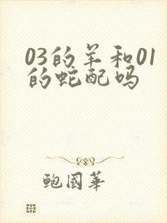 03的羊和01的蛇配吗封面