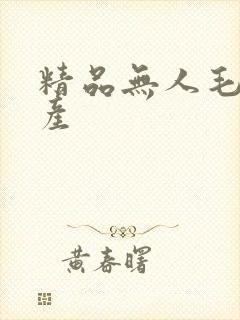 精品无人毛片国产