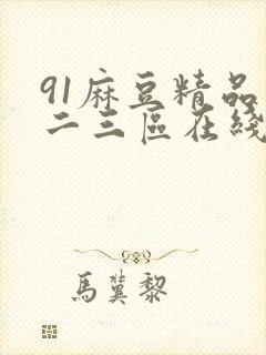 91麻豆精品一二三区在线