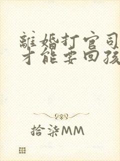 离婚打官司怎样才能要回孩子抚养权封面