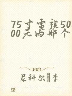 75寸电视5000元内哪个好