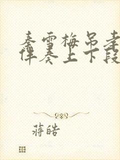 秦雪梅吊孝音乐伴奏上下段