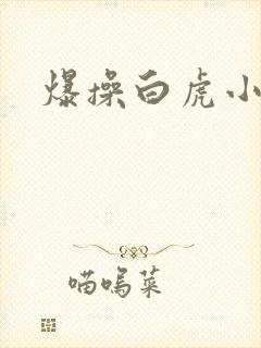 爆操白虎小萝莉封面