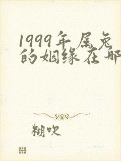 1999年属兔的姻缘在哪年最旺
