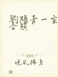 刘阳青一家三口合照