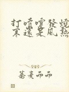 打喷嚏发烧是风寒还是风热